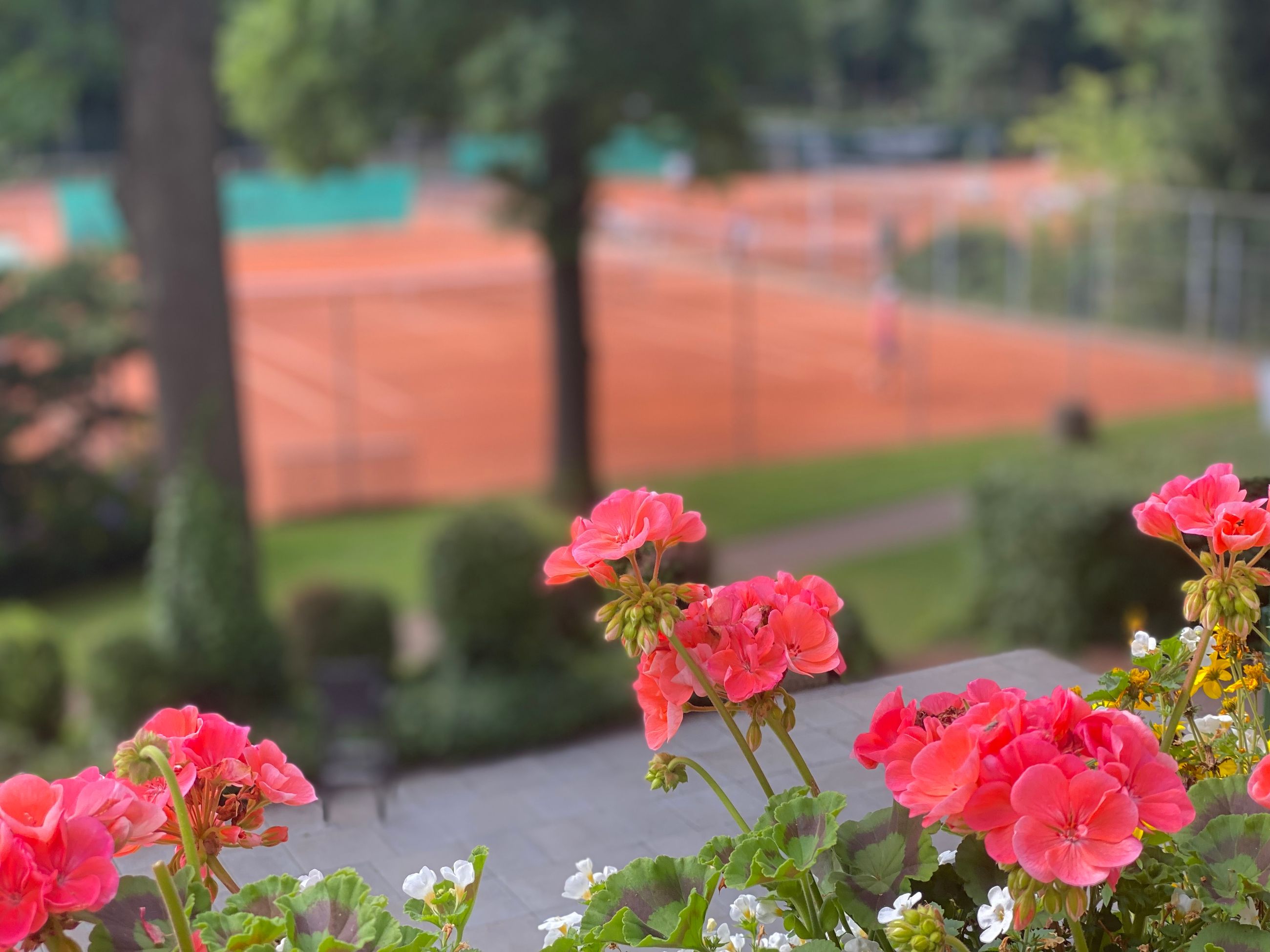Blumen mit Blick auf die Tennisanlage